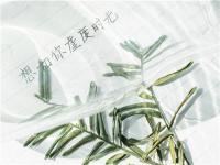 在手機上怎么賺錢？打造IP是長久賺錢的不二法門！